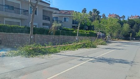 Güzelbahçe Belediyesi’nden Yaz Paklığı