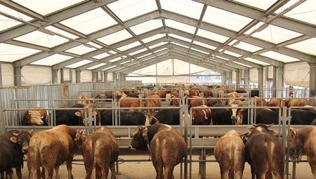 İBB’den Kurban Bayramı İçin 4 Çağdaş Tesis