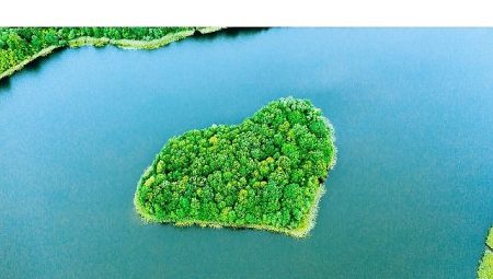 ING’nin iklim maksatları, Bilimsel Tabanlı Maksatlar Teşebbüsü (SBTi) tarafından doğrulandı