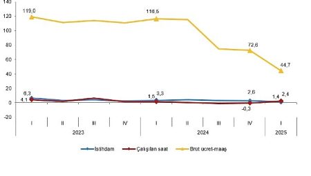 İşgücü Girdi Endeksleri, I. Çeyrek: Ocak-Mart, 2025