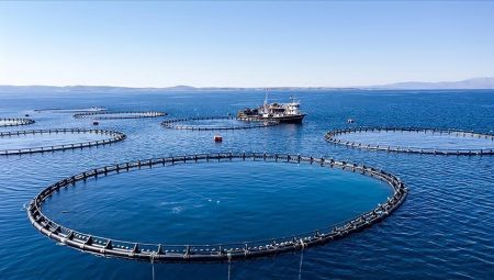 Karadeniz Bölgesi’nin su eserleri ihracatı 62 milyon doları aştı – Düzgün Haber