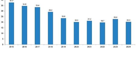 Karayolu Trafik Kaza İstatistikleri, 2024