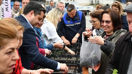 Lüleburgaz Belediyesi’nden vatandaşlara 20 bin adet fide