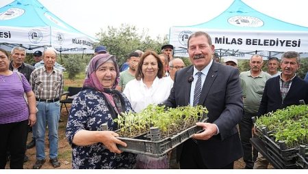 Milas Belediyesi, cet tohumlarını yaşatmak için üreticilere fide dağıtımı gerçekleştirdi