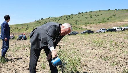 Nilüfer Belediyesi Konaklı’ya 800 zeytin fidanı dikti