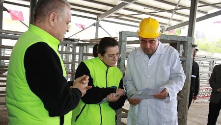 TSE’den Büyükşehir mezbahasına tam not