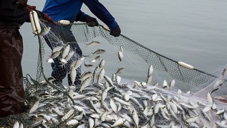Türkiye’nin su eserleri ihracatı 5 yılda yüzde 100 arttı
