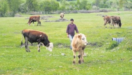 Besin güvenliği için ‘gençlik’ harekâtı! – Düzgün Haber