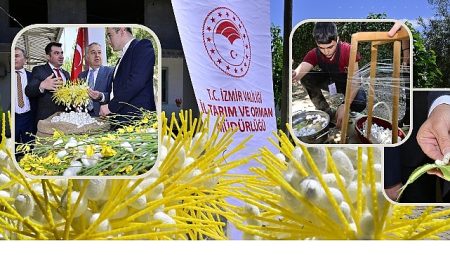 Beydağ’da Kozalar İpek Açtı