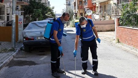 Buca’da Haşere ve Zararlılara Karşı İlaçlama Seferberliği
