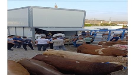 Büyükşehir’den bayramda inançlı ve hijyenik kesim hizmeti