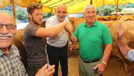 Canik’te Kurbanlıklar Görücüye Çıktı