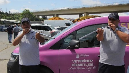 İBB boğa timi misyon başında