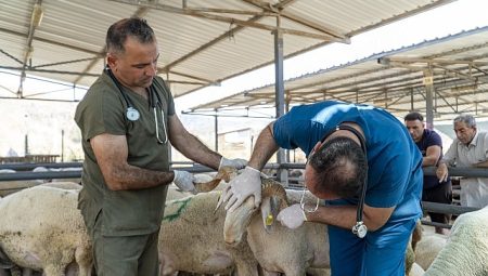 Karşıyaka, Kurban Bayramı’na hazır!