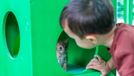 Konak’ta can dostlara özel şenlik: Yeni yuvalarına kavuştular