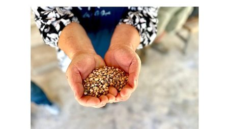 Köylünün toprağına, Urla’nın börülcesine sahip çıkıyoruz