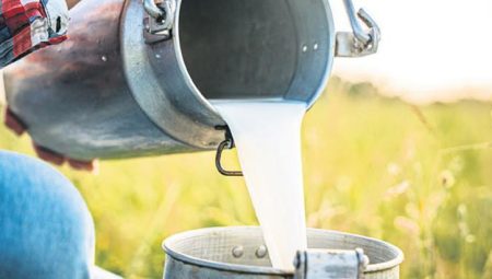 ‘Süt’te 56 teşebbüs için ‘rekabet’ soruşturması – Düzgün Haber