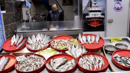 Tezgahlarda balık çeşitliliği sürüyor – Düzgün Haber