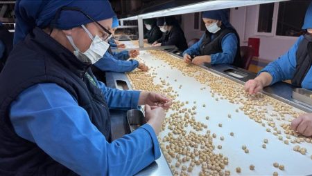 Türkiye, fındık ihracatından 1,9 milyar doları aşkın gelir sağladı – Düzgün Haber