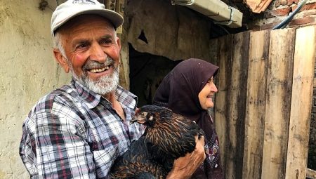 Üreticiye yüzde 50 hibeli yumurta tavuğu dayanağı