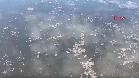 Yalova’da kanalizasyon suyu denize aktı, YASKİ’ye 4 milyon lira ceza yazıldı – Düzgün Haber