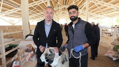 Yeni Kurban Pazarı Alıcının da Satıcının da Yüzünü Güldürdü…