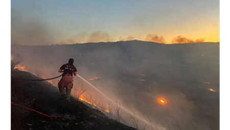Aliağa Hacıömerli Mahallesi makilik alanda çıkan yangına müdahale sürüyor