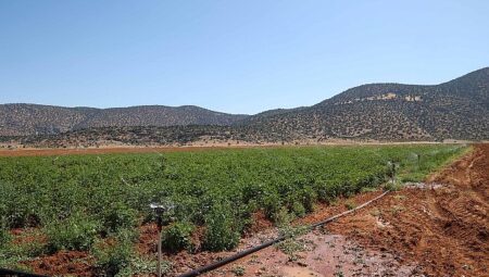 Beğiş’te tarım arıtma suyuyla yeşerdi