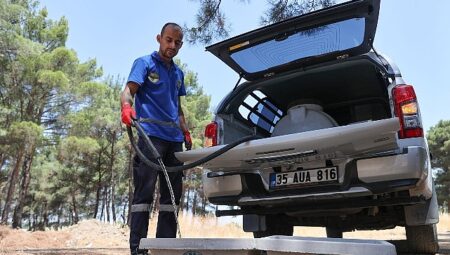 Buca Belediyesi’nden can dostları için hayati atılım