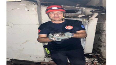 Büyükşehir yangın bölgelerindeki tüm canlıların yardımına koştu