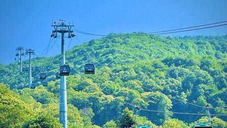 Kartepe Teleferik 15 Temmuz’da yüzde 50 indirimli