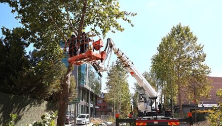 Alikahya Tramvay Çizgisi’nde ağaçlar budanıyor