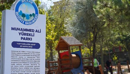 Avcılar’ın tek köpek oyun parkı yenilendi
