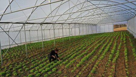 Büyükşehir’den çiftçilere çağdaş sera takviyesi