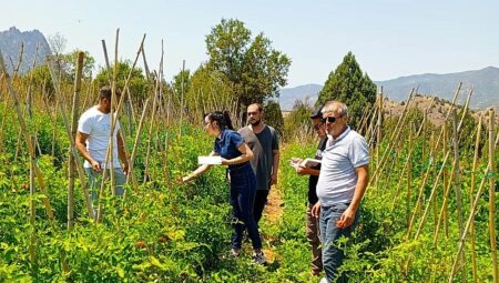 Çankaya Belediyesi’nden organik pazar kontrolleri