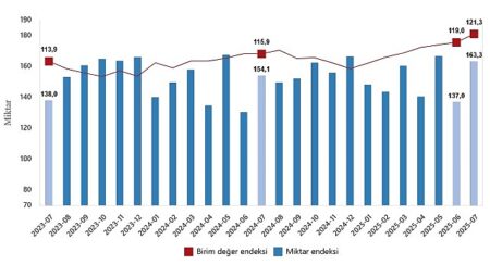 Dış Ticaret Endeksleri, Temmuz 2025