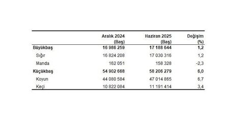 Hayvancılık İstatistikleri, Haziran 2025
