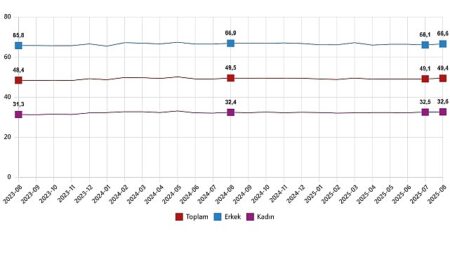 İşgücü İstatistikleri, Ağustos 2025