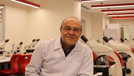 Pestisitler, arı nüfusunu da tehdit ediyor! Arıların yok oluşu zincirleme bir çöküşe sebep olur!