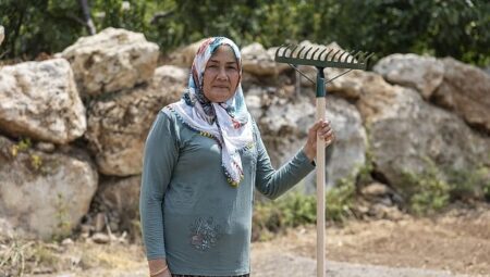Yenişehir Belediyesinin dayanağıyla safran üreticisi sayısı artıyor